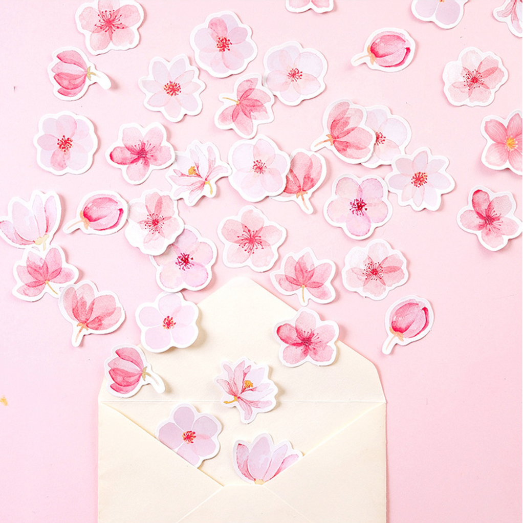 collection-banner-image